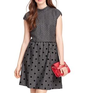 Brooks Brothers Gray Wool Dress w/ polka dots Sz14